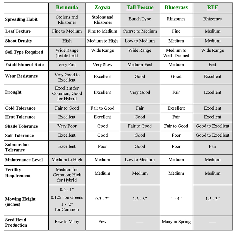 Zoysia Shade Tolerance Chart